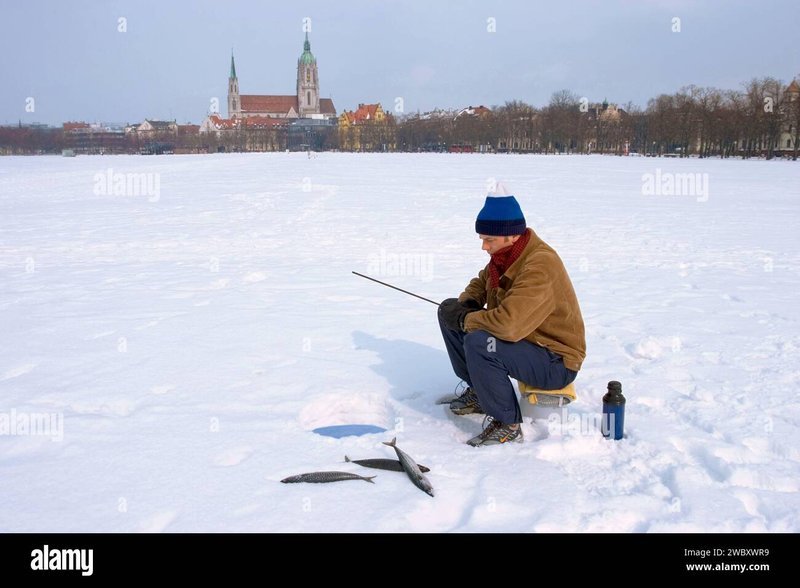 Entdecken Sie die Welt des Eiskartenspiels direkt aus Deutschland in Germany